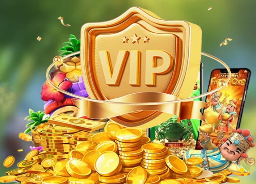 vsbet