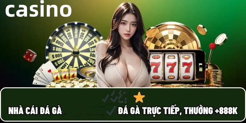 vsbet